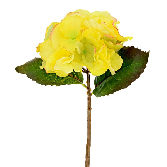Imagem HIDRÂNGEA EM CETIM 35CM AMARELO OUTONO 34344 GRILLO