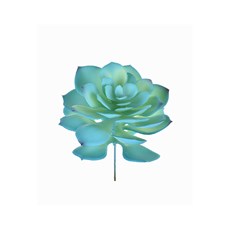 Imagem de SUCULENTA REAL 14CM AZUL 42993 GRILLO - Grillo Ltda