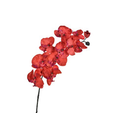 Imagem de ORQUÍDEA EM VELUDO DIAMANTE X11 90CM VERMELHO 43653 GRILLO - Grillo Ltda