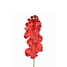 Imagem de ORQUÍDEA EM CETIM X10 97CM VERMELHO 43635 GRILLO - Grillo Ltda