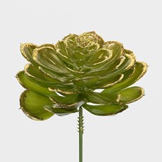 Imagem de PICK SUCULENTA 14CM VERDE/DOURADO 47632 GRILLO - Grillo Ltda
