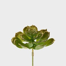 Imagem de PICK SUCULENTA 12CM VERDE/DOURADO 47633 GRILLO - Grillo Ltda