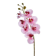 Imagem de HASTE ORQUÍDEA 3D X7 ROSA BRANCO 46403 GRILLO - Grillo Ltda