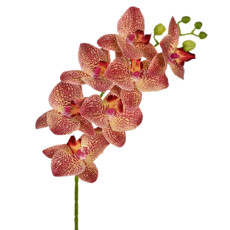 Imagem de HASTE ORQUÍDEA 3D X7 BURGUNDY 46400 GRILLO - Grillo Ltda