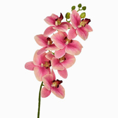 Imagem de HASTE ORQUÍDEA 3D X7 ROSA 46400 GRILLO - Grillo Ltda