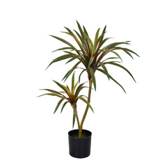 Imagem de PLANTA DRACENA COM POTE X2 REAL TOQUE BURGUNDY 72CM 49044 GRILLO - Grillo Ltda