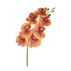 Imagem de HASTE ORQUIDEA X7 PVC AMARELO 50279 GRILLO  - Grillo Ltda