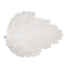 Imagem de LUGAR AMERICANO DE PLÁSTICO AUTUMN LEAF PRATEADO 47X38CM - Coliseu Presentes Ltda