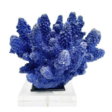 Imagem de CORAL DECORATIVO EM RESINA E BASE EM ACRILICO COR AZUL - Lucatti Artes E Decoracoes Ltda