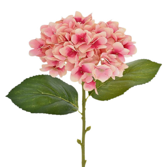 Imagem HASTE HORTENSIA MICROPEACH ROSA GRILLO 