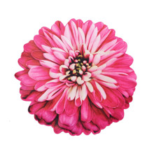 Imagem de JOGO AMERICANO CORTE A LASER GERBERA ROSA 45X45CM - Nilson Wegner Epp