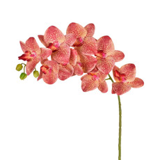 Imagem de HASTE DECORATIVA DE ORQUÍDEA BURGUNDY EM PLÁSTICO MOLDÁVEL 78X14CM - GRILLO - Grillo Ltda