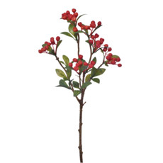 Imagem de HASTE BERRIES SILVESTRES X5 VERMELHO 15X53CM - GRILLO 51189 - Grillo Ltda