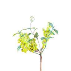 Imagem de MINI GALHO NATURAL COR VERDE 20CM (PÁSCOA) - TOK DA CASA  - Store Mania Comercio E Importacao Ltda