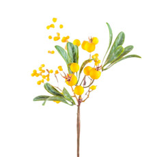 Imagem de GALHO NATURAL COR LARANJA (PÁSCOA) - TOK DA CASA  - Store Mania Comercio E Importacao Ltda