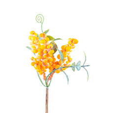 Imagem de MINI GALHO COR LARANJA 20CM (PÁSCOA) - TOK DA CASA  - Store Mania Comercio E Importacao Ltda