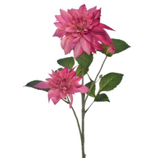 Imagem de HASTE DALIA SILVESTRE X3 MAGENTA 20X68CM - GRILLO  - Grillo Ltda