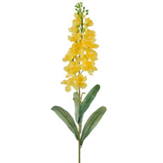 Imagem de HASTE DELFINIUM SILVESTRE AMARELO 10X80CM - GRILLO 51177 - Grillo Ltda