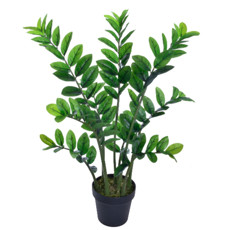 Imagem de PLANTA PACHIRA X18 COM POTE (ZAMIA) VERDE 50X85CM GRILLO 49254 - Grillo Ltda