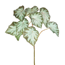 Imagem de FOLHAGEM BEGONIA X3 REAL TOQUE VERDE CREME 24X69CM GRILLO 48967 - Grillo Ltda