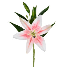 Imagem de HASTE LÍRIO SILVESTRE 3D ROSA 20X40CM - GRILLO 44502 - Grillo Ltda