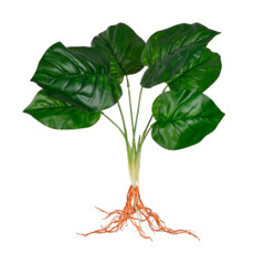 Imagem de PLANTA POTHOS X6 REAL TOQUE VERDE 30X36CM - GRILLO 50955 - Grillo Ltda