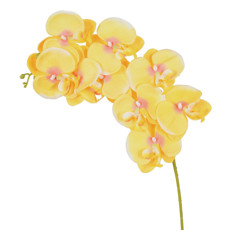 Imagem de HASTE ORQUIDEA PHALAENOPSIS X9 MP AMARELO 10X86CM - GRILLO 52931 - Grillo Ltda