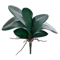 Imagem de FOLHA ORQUIDEA X7 VERDE 26X9CM - GRILLO 43678 - Grillo Ltda