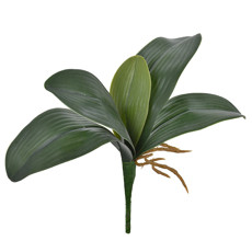 Imagem de FOLHA DE ORQUIDEA X5 VERDE 27X30CM - GRILLO 49115 - Grillo Ltda