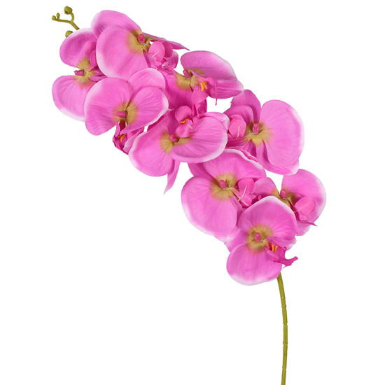 Imagem HASTE ORQUIDEA PHALAENOPSIS X9 MP LAVANDA 10X86CM - GRILLO 52931