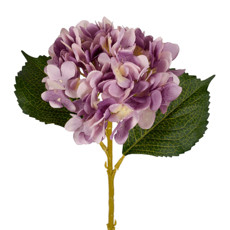 Imagem de HASTE HORTENSIA SILVESTRE LAVANDA 18X46CM - GRILLO 53579 - Grillo Ltda