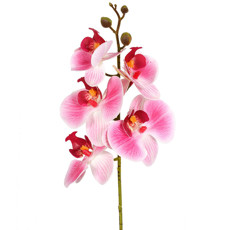 Imagem de HASTE DECORATIVA DE ORQUÍDEA PHALAENOPSIS ROSA EM PLÁSTICO MOLDÁVEL - GRILLO - Grillo Ltda