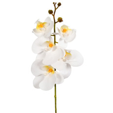 Imagem de HASTE ORQUIDEA PHALAENOPSIS X5 3D CREME 13X44CM - GRILLO 53475 - Grillo Ltda