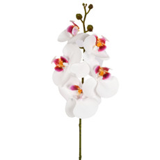 Imagem de HASTE DECORATIVA DE ORQUÍDEA PHALAENOPSIS BRANCA EM PLÁSTICO MOLDÁVEL - GRILLO - Grillo Ltda