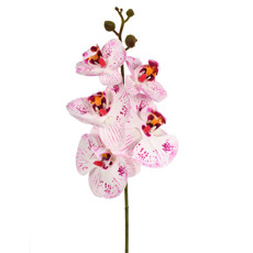 Imagem de HASTE ORQUIDEA PHALAENOPSIS X5 3D PURPURA 13X44CM - GRILLO 53475 - Grillo Ltda