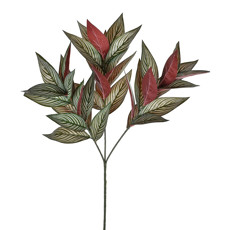 Imagem de FOLHAGEM CALATHEA REAL TOQUE PEACOCK 24X73CM - GRILLO 48965 - Grillo Ltda