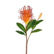 Imagem de HASTE DECORATIVA DE PROTEA VERMELHA EM PLÁSTICO MOLDÁVEL 60X14 CM - GRILLO - Grillo Ltda