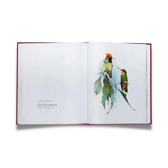 Imagem LIVRO BEIJA-FLORES DO BRASIL - SILVEIRA, LUIS FABIO 1 ED 34X27X2CM - QUEEN BOOKS