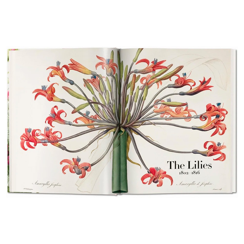 LIVRO REDOUTÉ. O LIVRO DAS FLORES - Grillo Home Decor