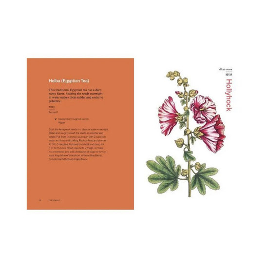 Imagem LIVRO HERBAL HANDBOOK - THE NEW YORK BOTANIC 2023 2X23X16CM - QUEEN BOOKS