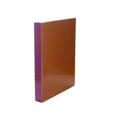 Imagem de CAIXA DE LIVRO DEVORATIVO COR LARANJA NEW LIFE 30X23X3CM - GOODS BR  - Goods Br Distribuidora Ltda