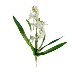 Imagem de FLOR DECORATIVA EM PLÁSTICO COR BRANCO E VERDE 40CM - GRILLO 54672 - Grillo Ltda