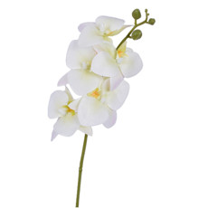 Imagem de HASTE DECORATIVA DE ORQUIDEA COR CREME EM PLÁSTICO MOLDÁVEL 15X43CM - GRILLO - Grillo Ltda