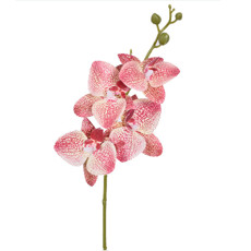 Imagem de HASTE DECORATIVA DE ORQUIDEA COR LAVANDA VERDE EM PLÁSTICO MOLDÁVEL 15X43CM - GRILLO - Grillo Ltda