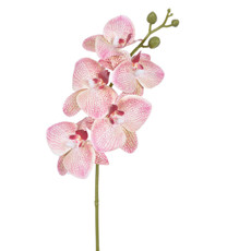 Imagem de HASTE DECORATIVA DE ORQUÍDEA ROSA VERDE EM PLÁSTICO MOLDÁVEL 43X15 CM - GRILLO - Grillo Ltda