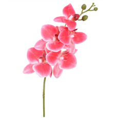 Imagem de HASTE DECORATIVA DE ORQUIDEA COR VERMELHA EM PLÁSTICO MOLDÁVEL 15X43CM - GRILLO - Grillo Ltda