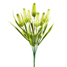 Imagem de BUQUÊ GRAMINEA X7 CREME VERDE 5X36CM - GRILLO 55225 - Grillo Ltda
