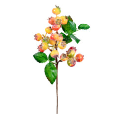 Imagem de HASTE BERRIES DO CAMPO X5 VERDE ROSA 10X40CM - GRILLO 55381 - Grillo Ltda