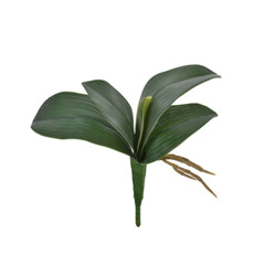Imagem de BUQUÊ DECORATIVO DE FOLHAS DE ORQUÍDEA VERDE COM RAIZ EM PLÁSTICO MOLDÁVEL - GRILLO - Grillo Ltda