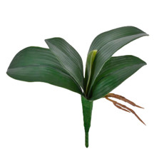 Imagem de FOLHA DE ORQUIDEA X5 VERDE 26X20CM - GRILLO  - Grillo Ltda